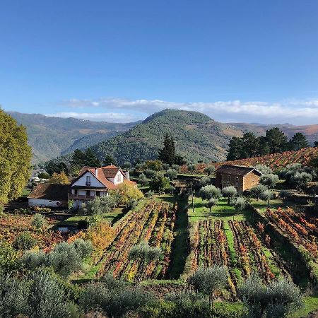 Quinta Vila Rachel - Winery Sao Mamede de Ribatua 외부 사진
