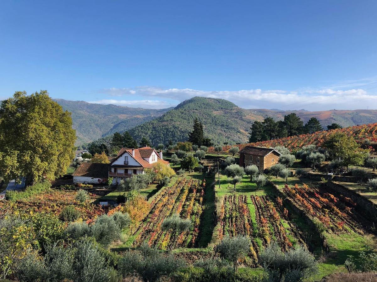 Quinta Vila Rachel - Winery Sao Mamede de Ribatua 외부 사진