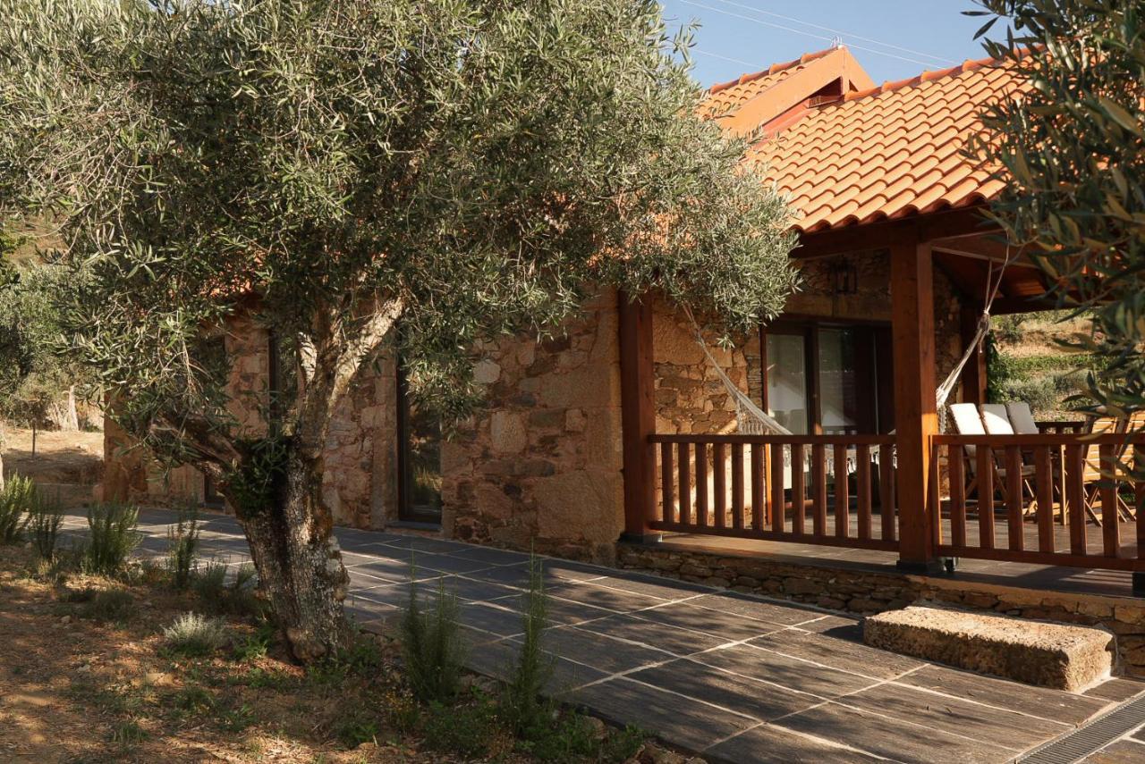 Quinta Vila Rachel - Winery Sao Mamede de Ribatua 외부 사진