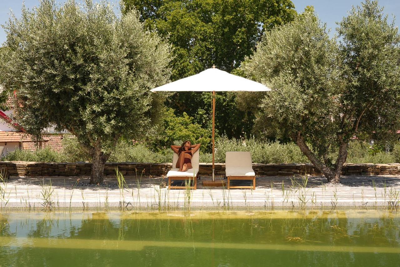 Quinta Vila Rachel - Winery Sao Mamede de Ribatua 외부 사진