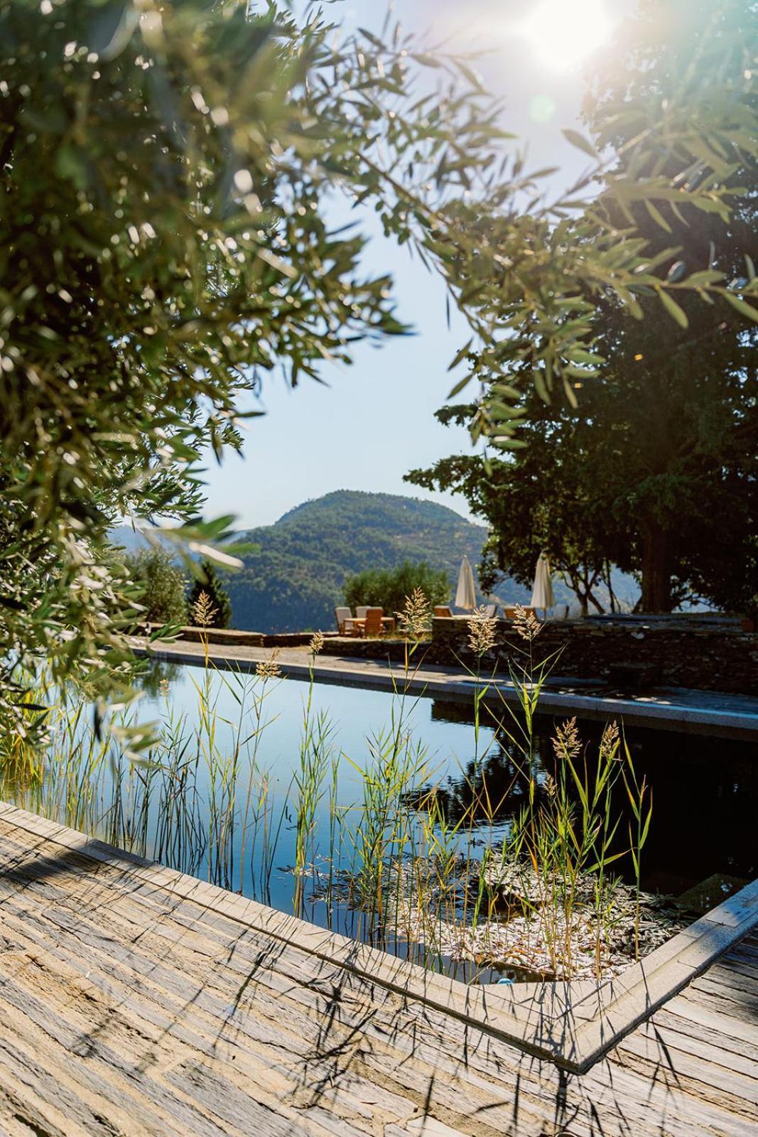 Quinta Vila Rachel - Winery Sao Mamede de Ribatua 외부 사진
