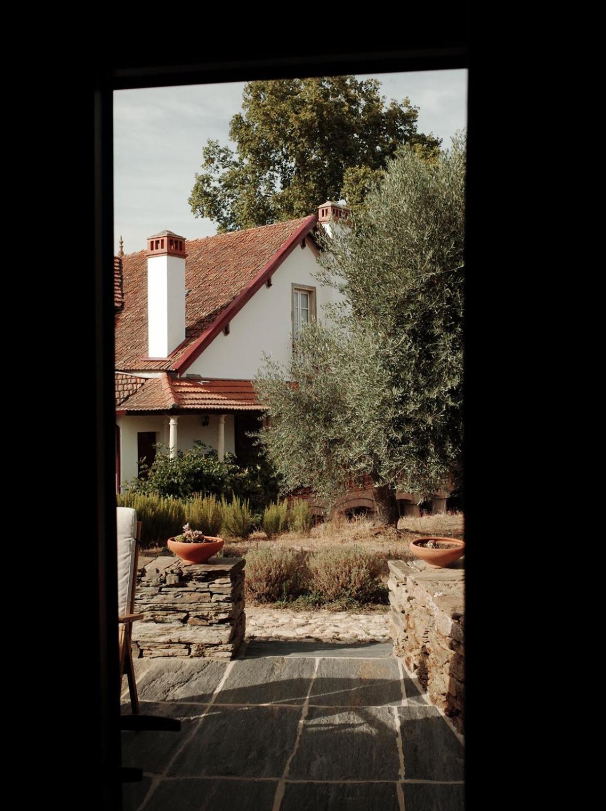Quinta Vila Rachel - Winery Sao Mamede de Ribatua 외부 사진